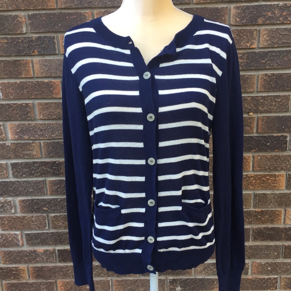 BCBG Paris Knit Sweater